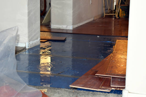 Professional Water Damage Restoration technician working in Campton, NH